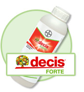 decis_forte.jpg