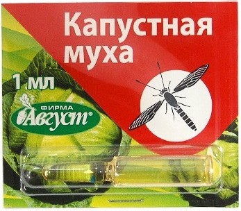 kapystnayamyha.jpg