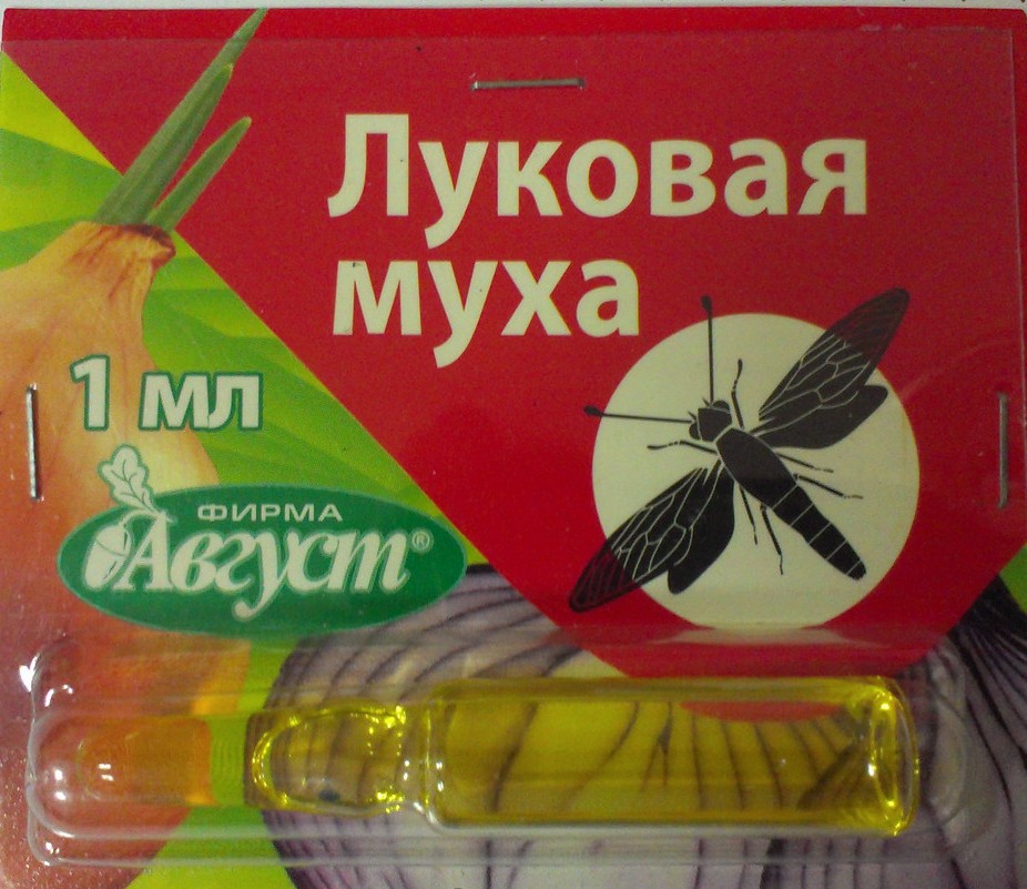 lykovayamyha.jpg